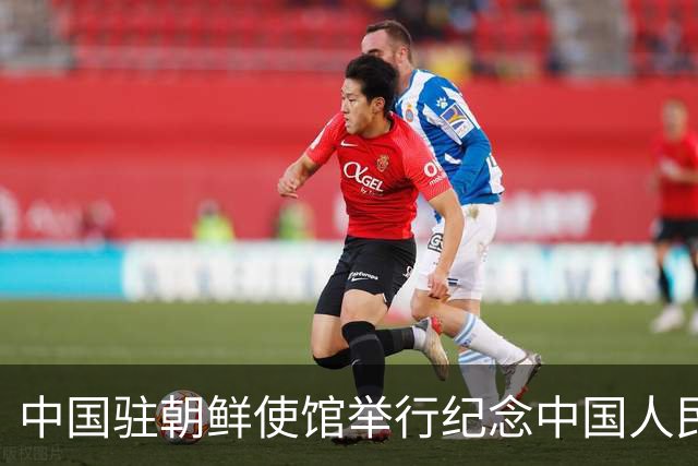 中国驻朝鲜使馆举行纪念中国人民志愿军抗美援朝出国作战76周年活动