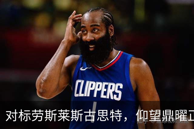对标劳斯莱斯古思特，仰望鼎曜正式公布