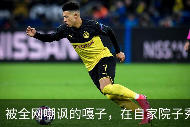 被全网嘲讽的嘎子，在自家院子秀身手，身后4辆车却抢了镜